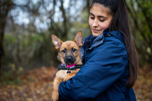 Animal and wildlife centres