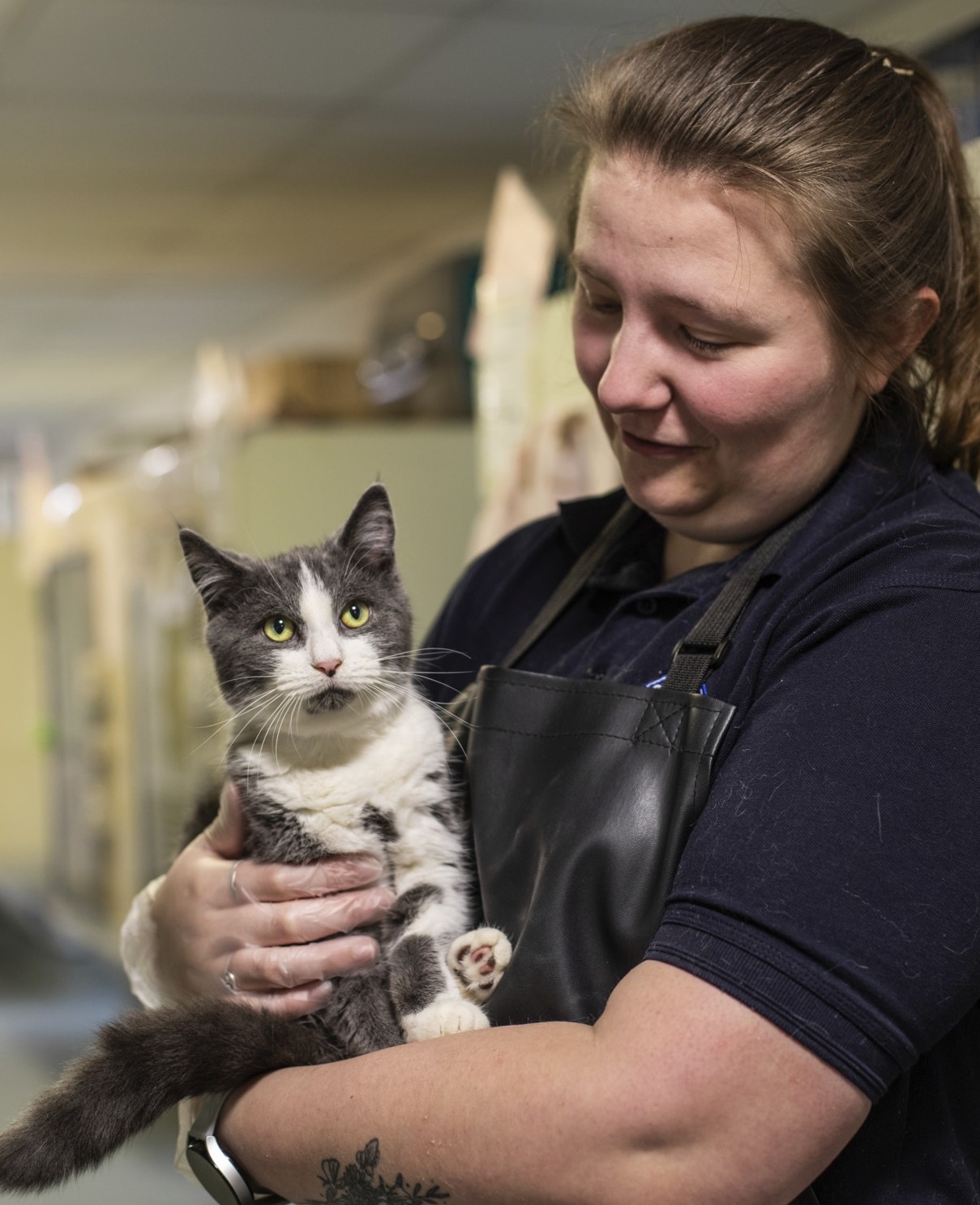 Apprentice holding cat