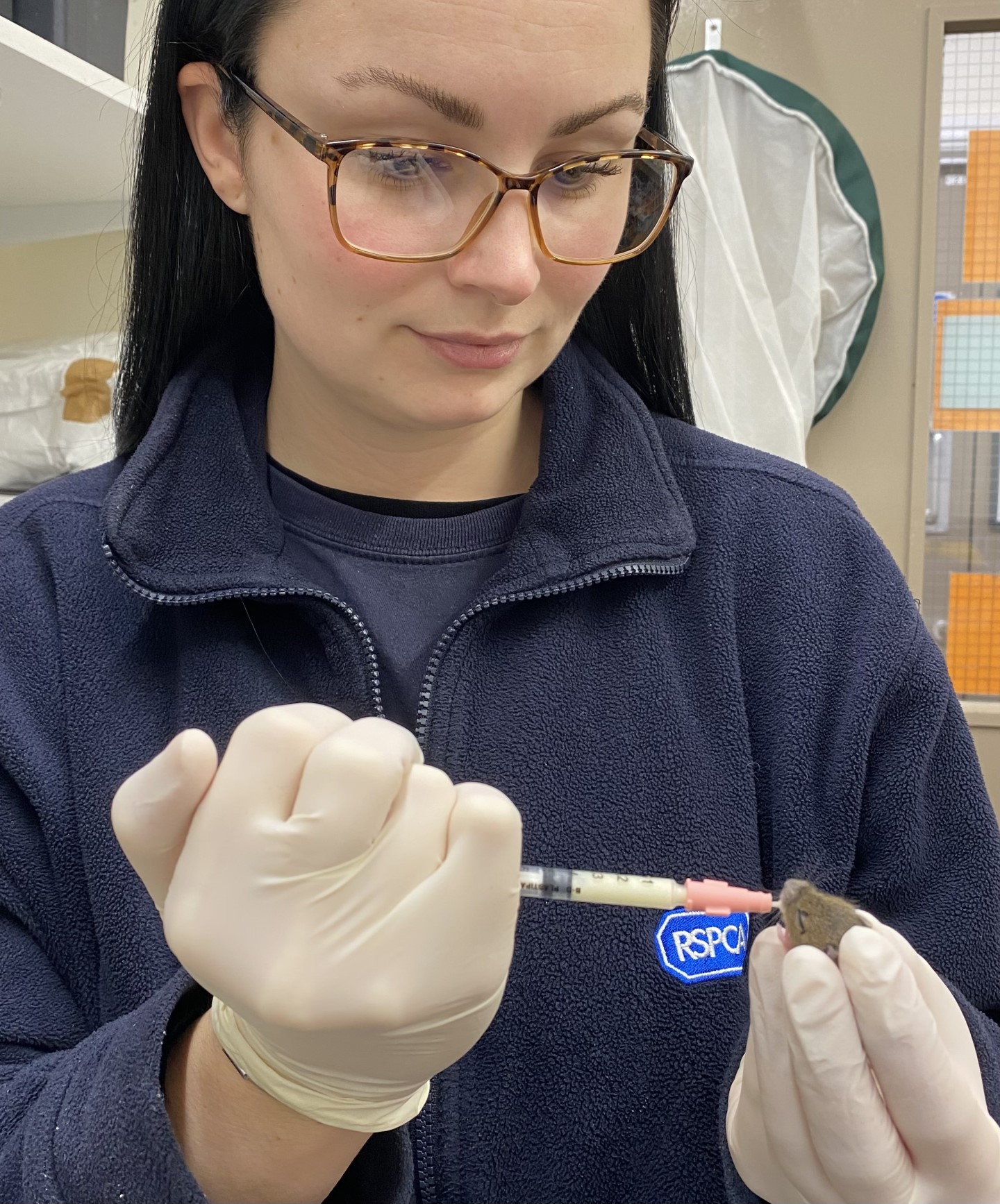 Wildlife Assistant, Catherine Smith