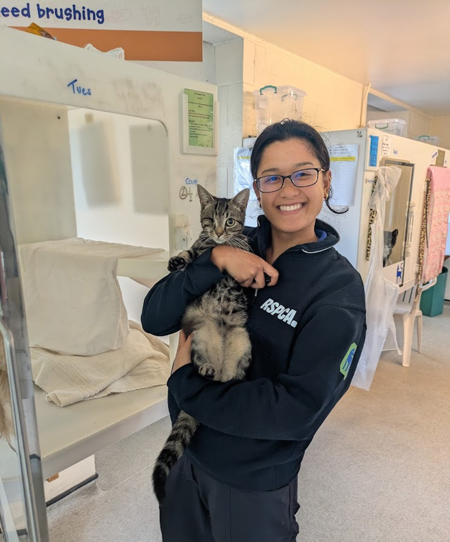 Animal Care Assistant - Dani Perez