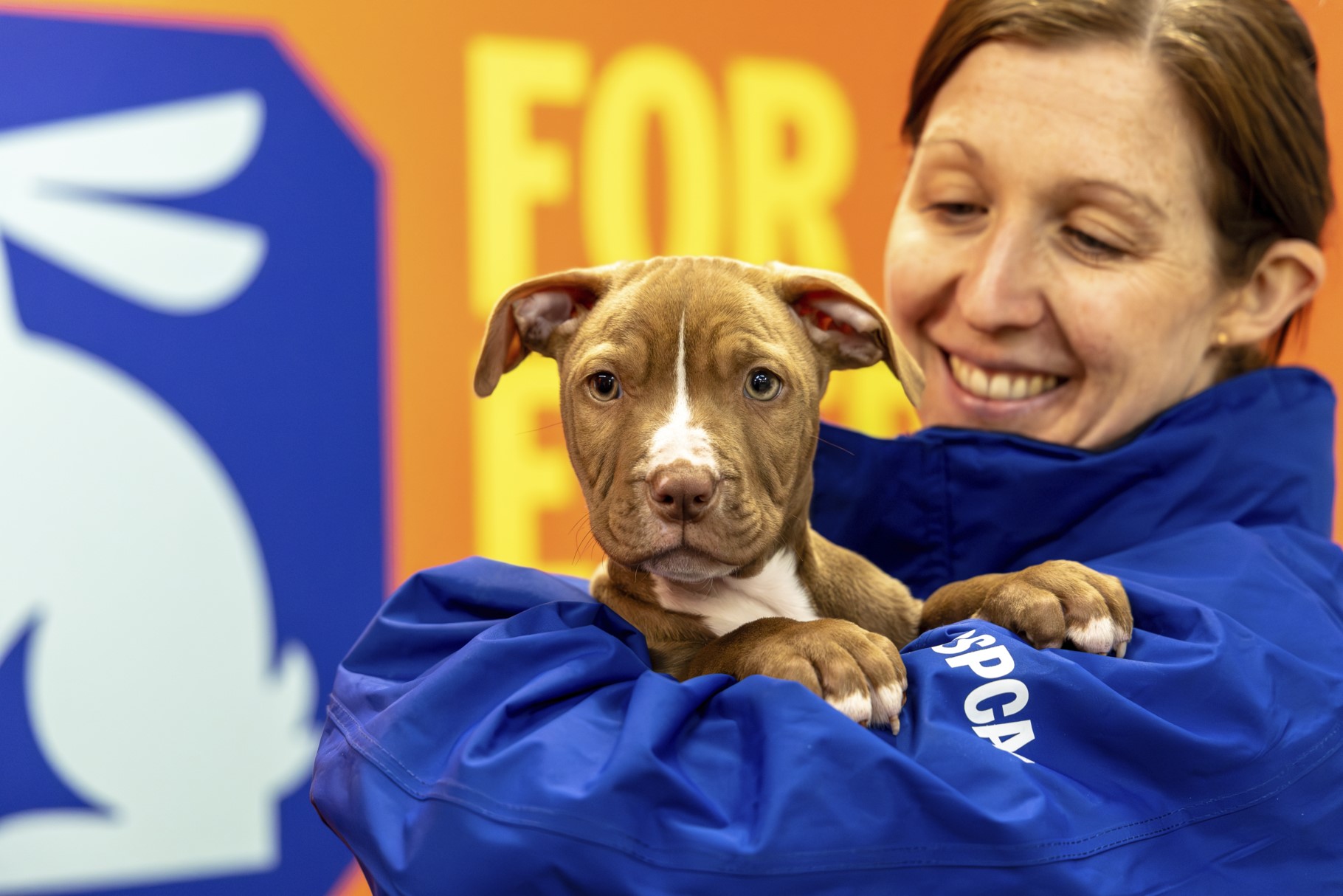 RSPCA employee holding dog