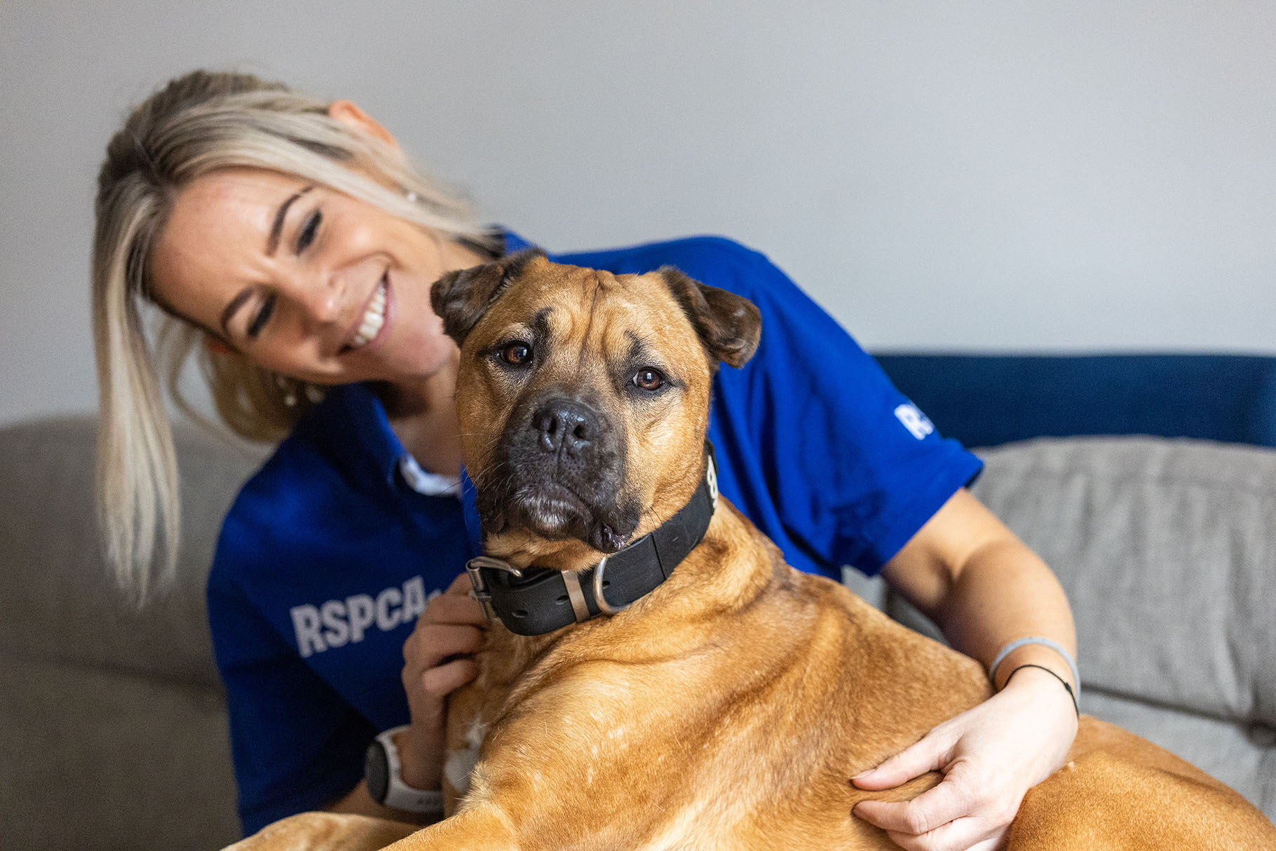 RSPCA employee holding dog