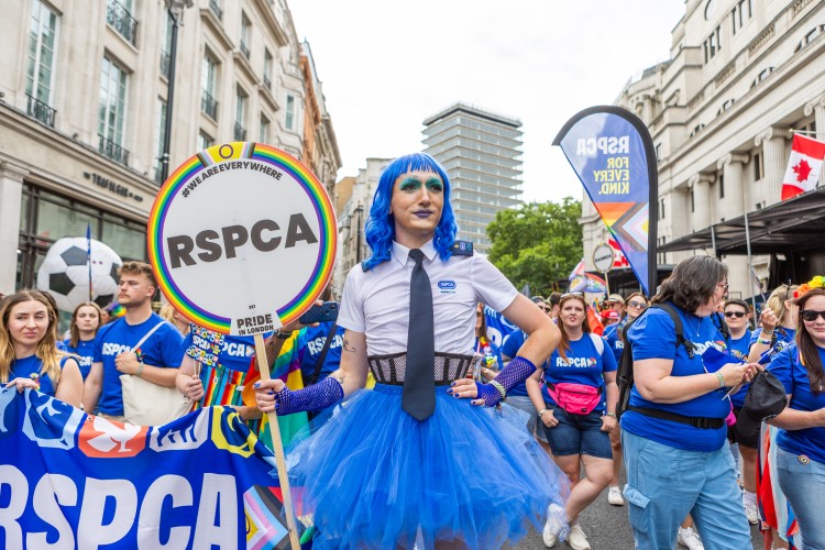 LGBTQ