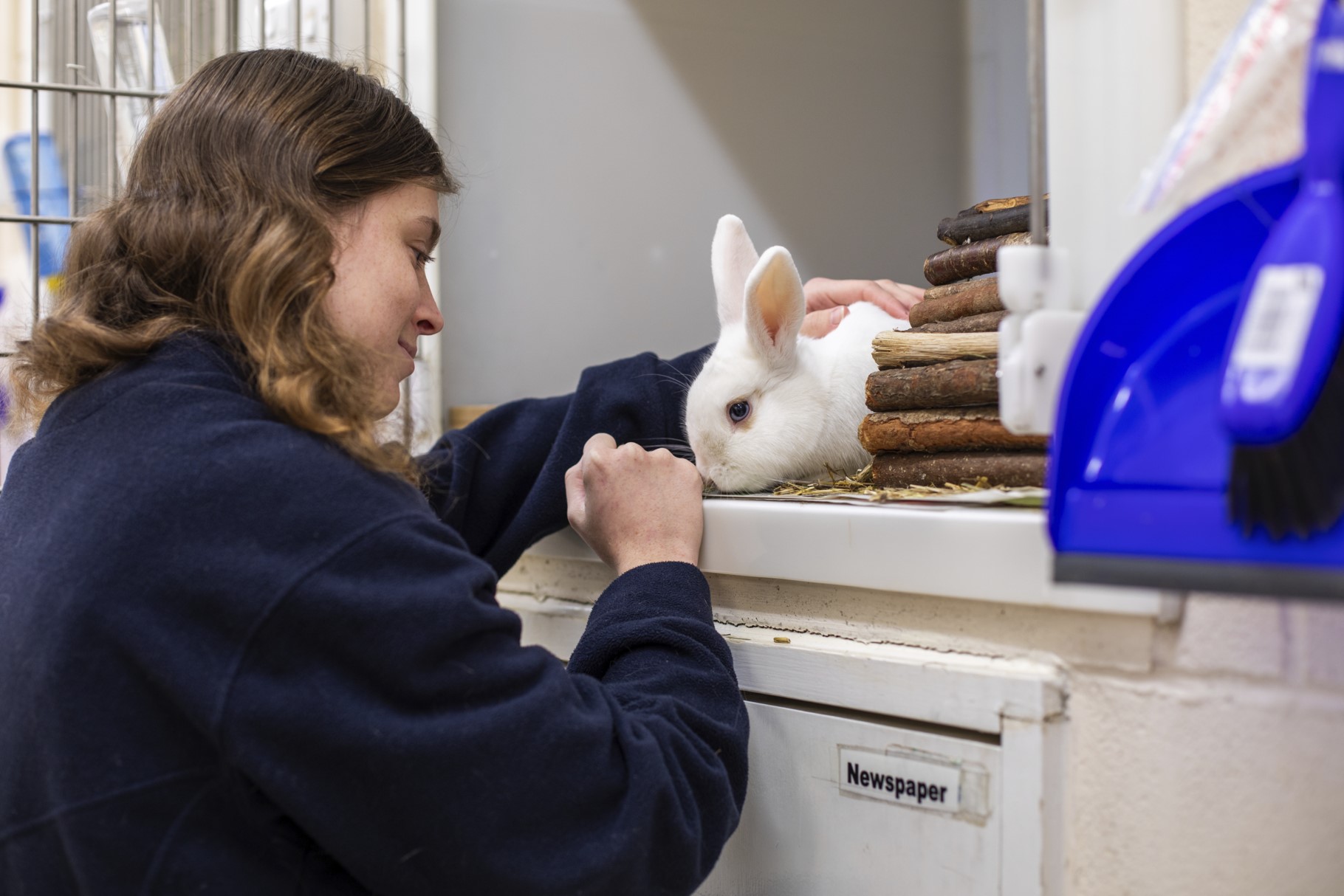 Apprentice feeding rabbit