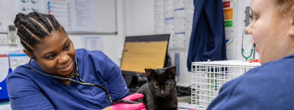 Veterinary and clinical