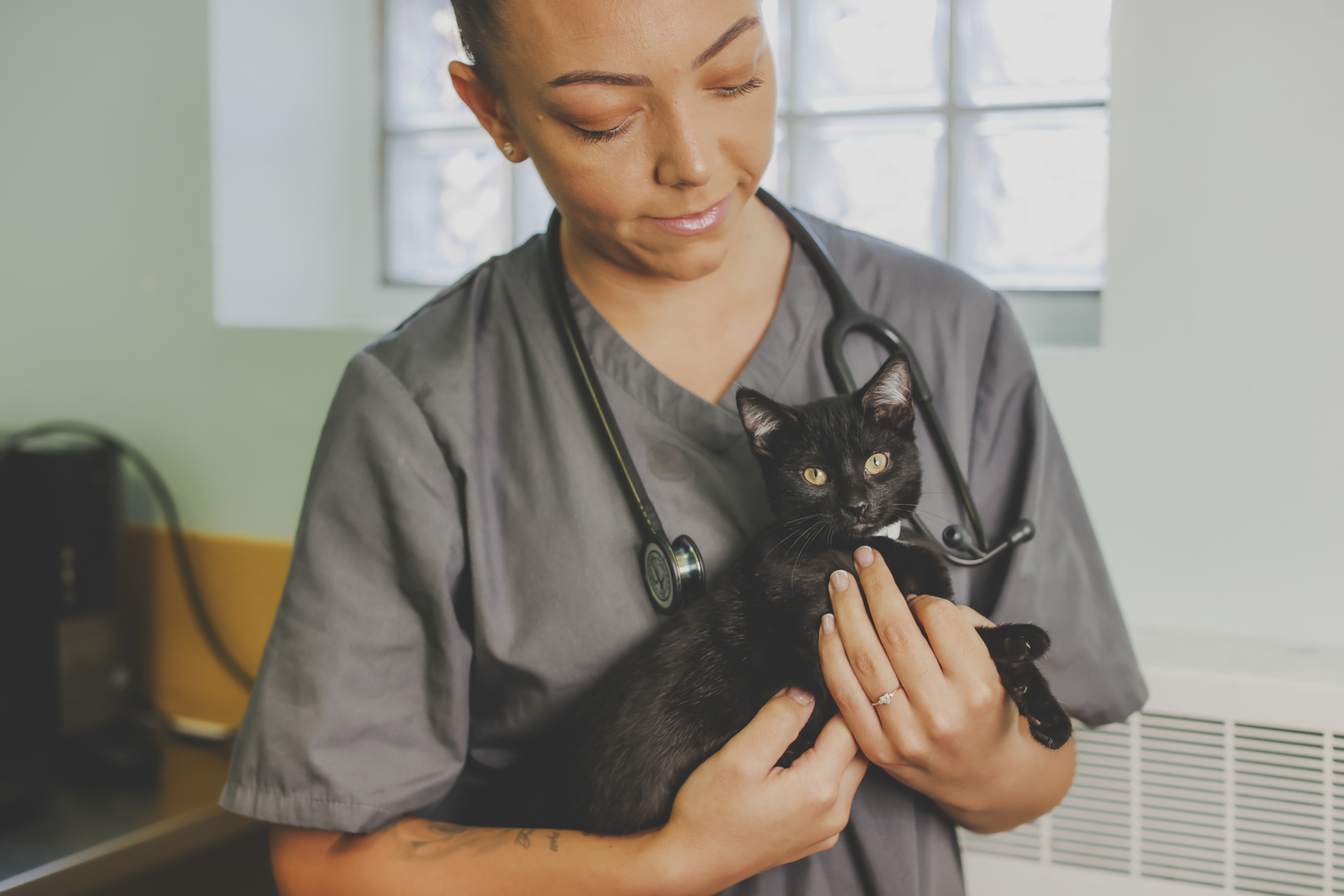 Veterinary and clinical